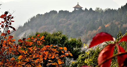 北京の蟒山国家森林公園で深まる秋色を満喫