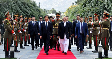 アフガン大統領、李源潮副主席と会見