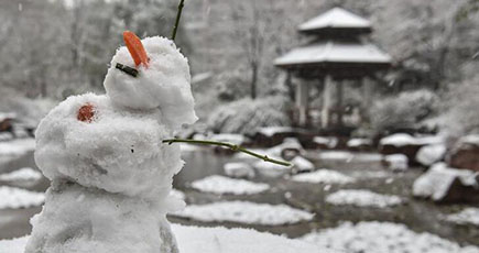 北京:二十四節気「小雪」の時期に大雪