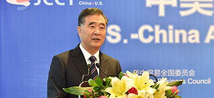 中米がシリーズ協力活動を共催、汪洋副総理が出席し挨拶する