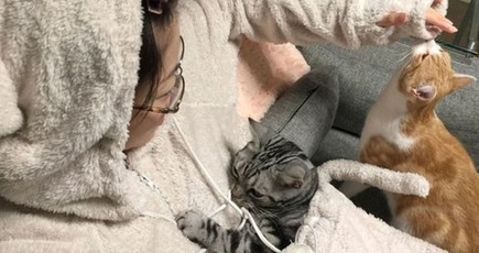 猫好きに朗報？日本企業が猫パジャマを発売