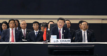 習近平主席は中国アフリカ協力フォーラム・ヨハネスブルク・サミットの全体会議に出席し、その会議を主宰