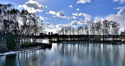 冬の北京オリンピック森林公園を見てみましょう！