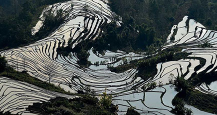 雲南省のハニ棚田は絵の如く美しい