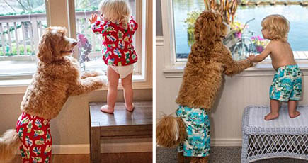 萌える！ペット犬と子供が同じ服を着ている