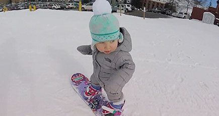 米の赤ちゃん、わずか1歳でもスキーが上手、ネットで大人気