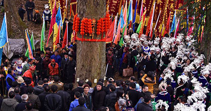 貴州錦屏が「木の神」を祭り、環境保護を提唱
