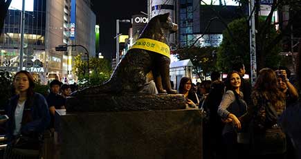 東京の“ がっかり名所”、ナンバーワンは忠犬ハチ公