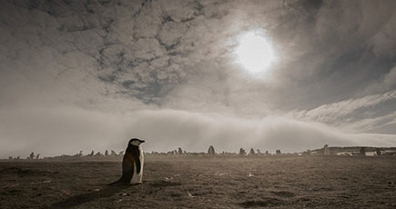 イタリア写真家、南極で絶景を撮影
