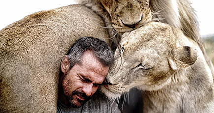 「ライオンと戯れる男」　アフリカライオンと広告撮影