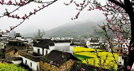 江西省ブ源県に春到来　絵のような美しさ