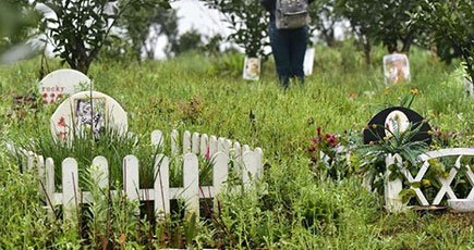 成都市のペットの墓地　最高価格は1.2万元