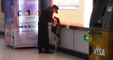 地下鉄の警察犬がネットで人気、悪戯し過ぎてお説教？　上海