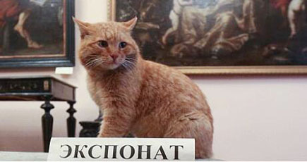 モスクワの美術館が猫ドアマンを採用　観光客に人気