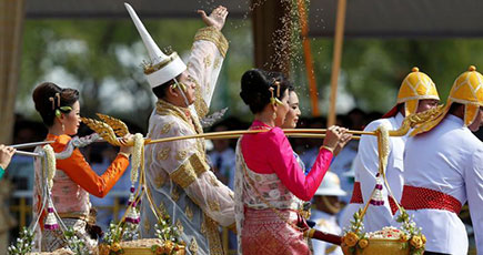 タイ王室が農耕祭の式典を開催　住民が柵を超えて種を奪い合う