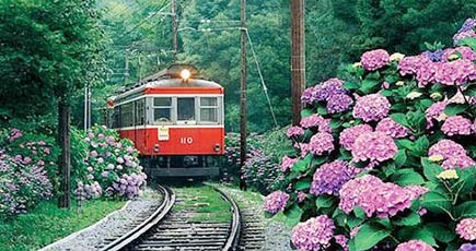 日本の列車、各地の文化を味わう