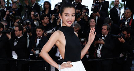 中国のスター、第69回カンヌ映画祭の開幕レッドカーペットで登場