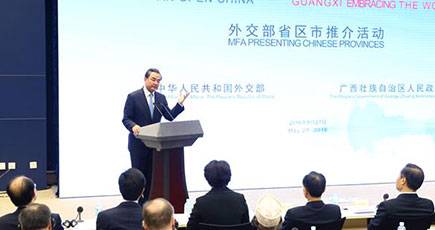 王毅外交部長：広島は注目に値するが、南京はさらに忘れられてはいけない