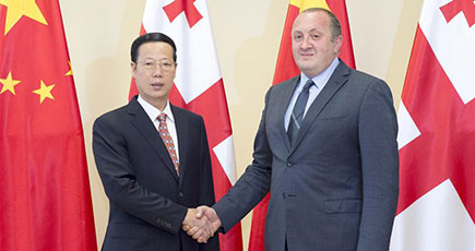 張高麗副総理がグルジアのギオルギ・マルグヴェラシヴィリ大統領と会見