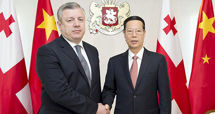 張高麗副総理がグルジアのギオルギ・クヴィリカシヴィリ首相と会談