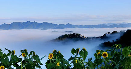 雨が止んだ後の立派な雲海　安徽省の黄山