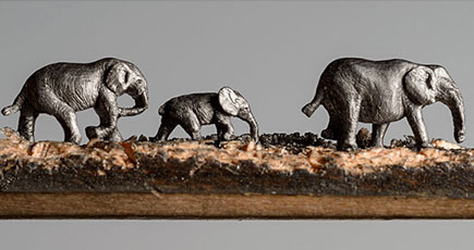 米芸術家が素晴らしい象の群れを彫刻
