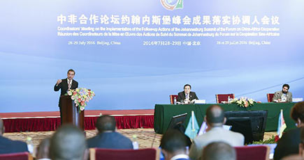 王毅外相、「中国・アフリカ協力は新たなモデルを絶えず模索」