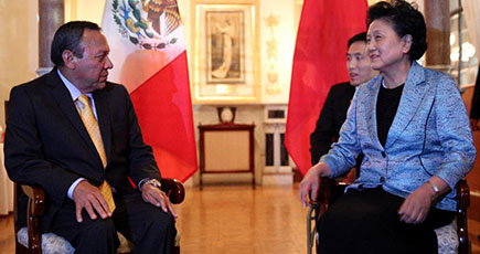 劉延東副総理、メキシコを公式訪問