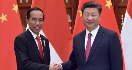 習近平主席、インドネシアのジョコ大統領大統領と会見
