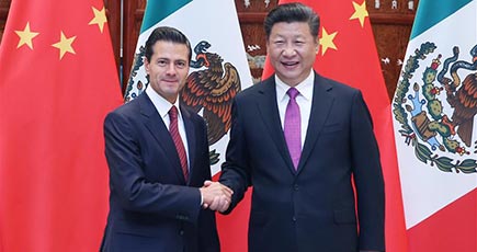 習近平主席がメキシコのペニャニエト大統領と会見