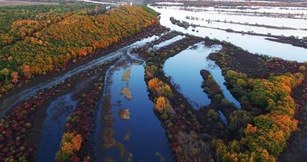 黒竜江・珍宝島湿地の「多彩な秋風景」の空中写真