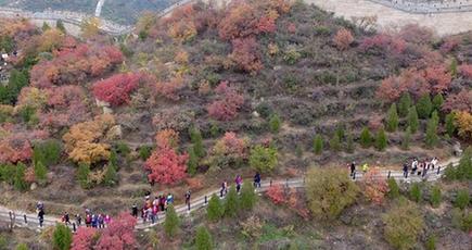 長城の美しい紅葉