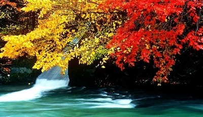 【美しい中国】中国の秋風景　色とりどりで絶賛！