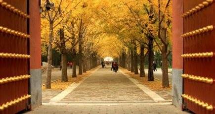 短い秋を楽しもう！北京の秋ベストスポットトップ8