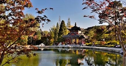 秋の北京香山公園