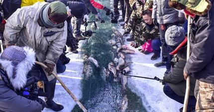 新疆：冬の漁撈活動が開幕、観光客が殺到