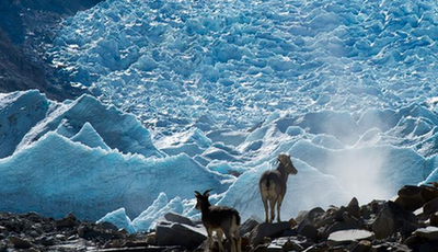 絶景：チベット・崗布の氷河