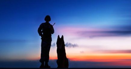 国境を守る軍犬　警備兵と共に任務