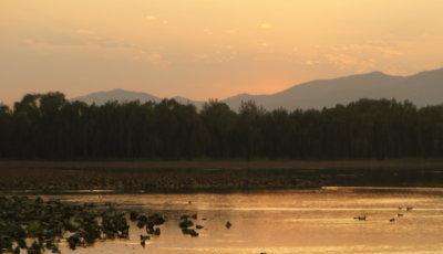 【中日対訳】納蘭性徳　秋の夕暮
