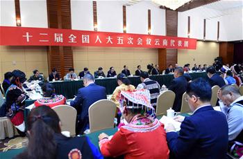 雲南省代表団全体会議、メディアに公開