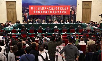 香港代表団全体会議、メディアに公開