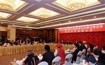 海南省代表団全体会議、メディアに公開