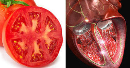 人体の器官に似た7の果物 野菜
