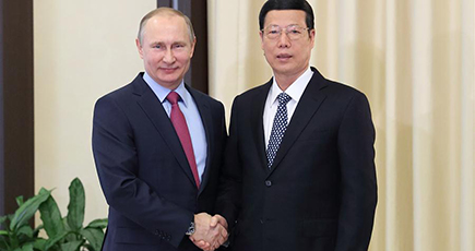 張高麗副総理、プーチン大統領と会見