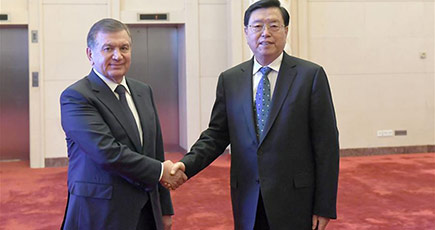 張徳江氏、ウズベキスタンのミルジヨエフ大統領と会見