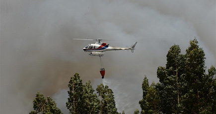 ポルトガルで森林火災、少なくとも61人死亡　政府は緊急状態宣言