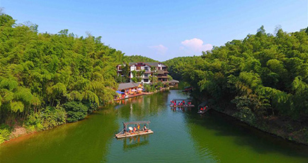 「蜀南竹海」の涼やかな夏の風景　四川省