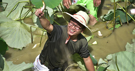 貴州省で魚のつかみ取り大会開催　村民と観光客が楽しみながら涼をとる