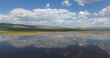 甘粛省甘南、美しい湿地と生態の絵巻物