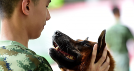 警察犬と訓練士の関係に迫る 犬が「壁ドン」